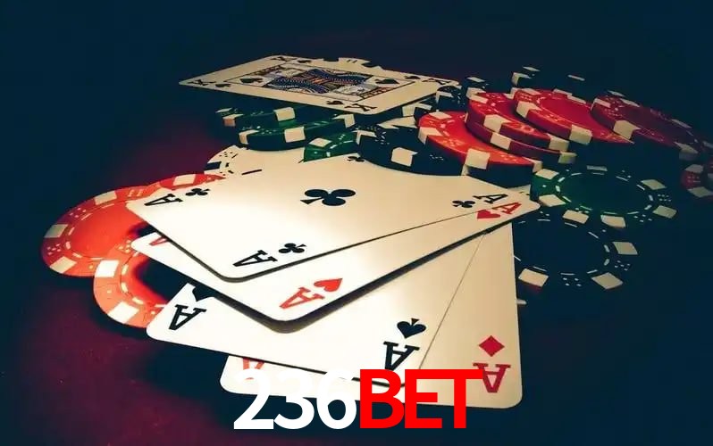 Oportunidades 236bet